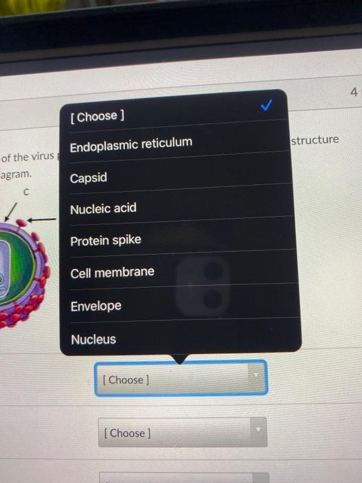 Solved 4 pt= Question 25 Match the names of the virus parts | Chegg.com