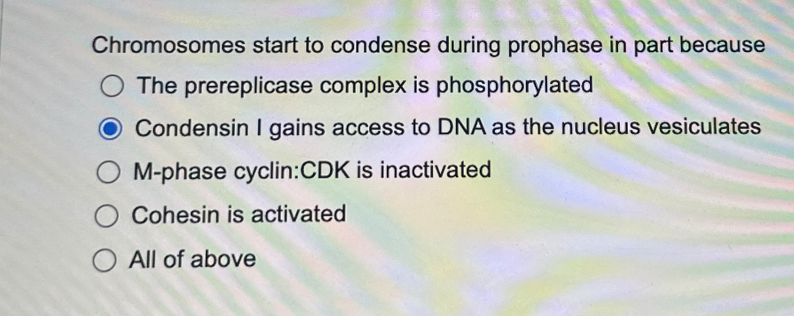 Solved Chromosomes start to condense during prophase in part Biology Diagrams