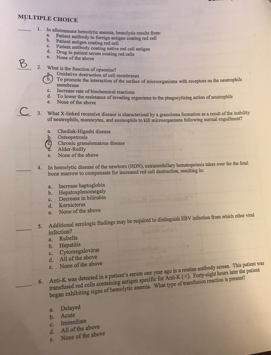 Solved MULTIPLE CHOICE 1. In alloimmune hemolytic anemia, | Chegg.com