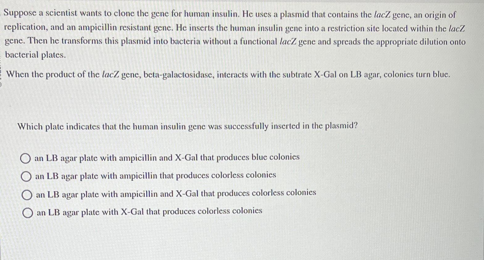 Solved Suppose a scientist wants to clone the gene for human | Chegg.com