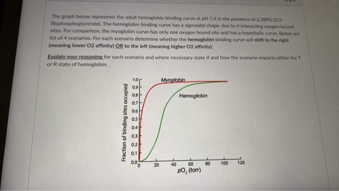 Solved The graph represents the adult hemoglobin binding