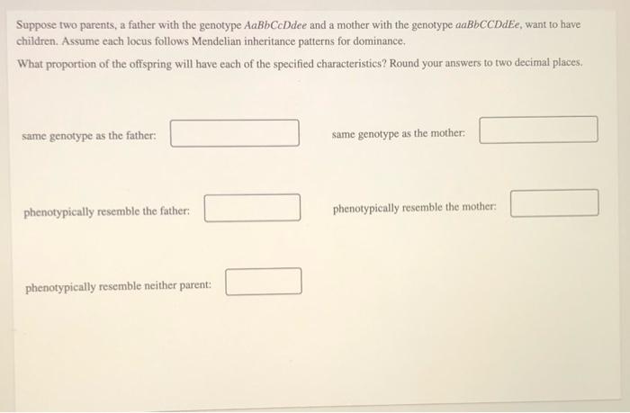 Solved Suppose Two Parents, A Father With The Genotype | Chegg.com