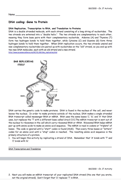 programming assignment assignment 2 dna processing