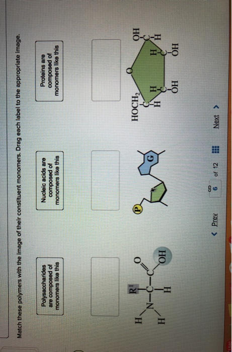 Solved Match these polymers with the image of their | Chegg.com