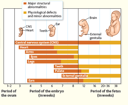 Birth Defects Chart