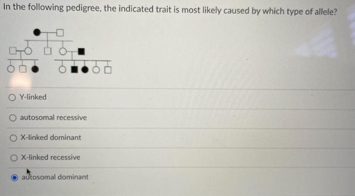 Solved In the following pedigree, the indicated trait is | Chegg.com