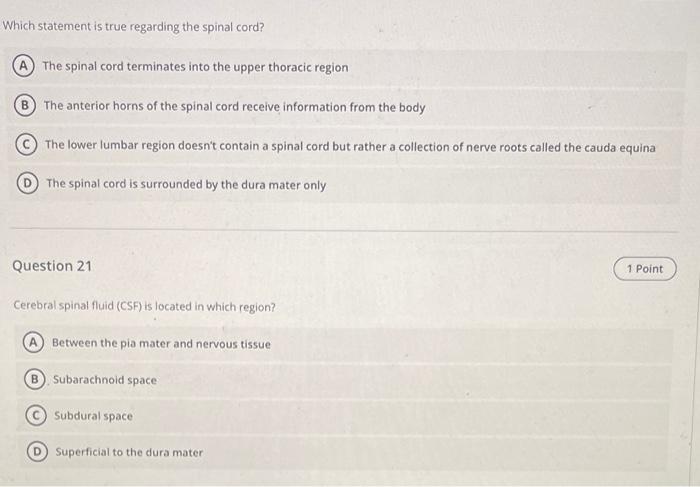 Which statement is true regarding the spinal cord?
The spinal cord terminates into the upper thoracic region
The anterior hor