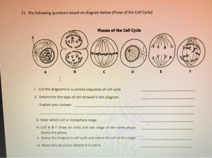 Solved 21. The following questions based on diagram below | Chegg.com