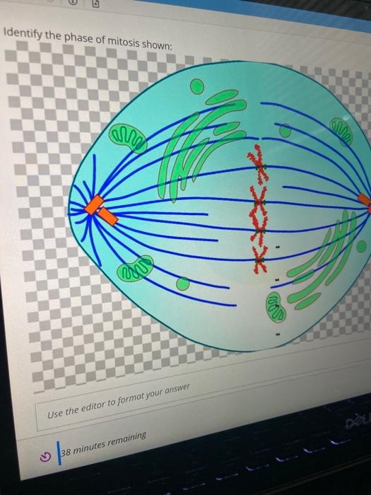 Solved board Question 17 Identify the major components of | Chegg.com
