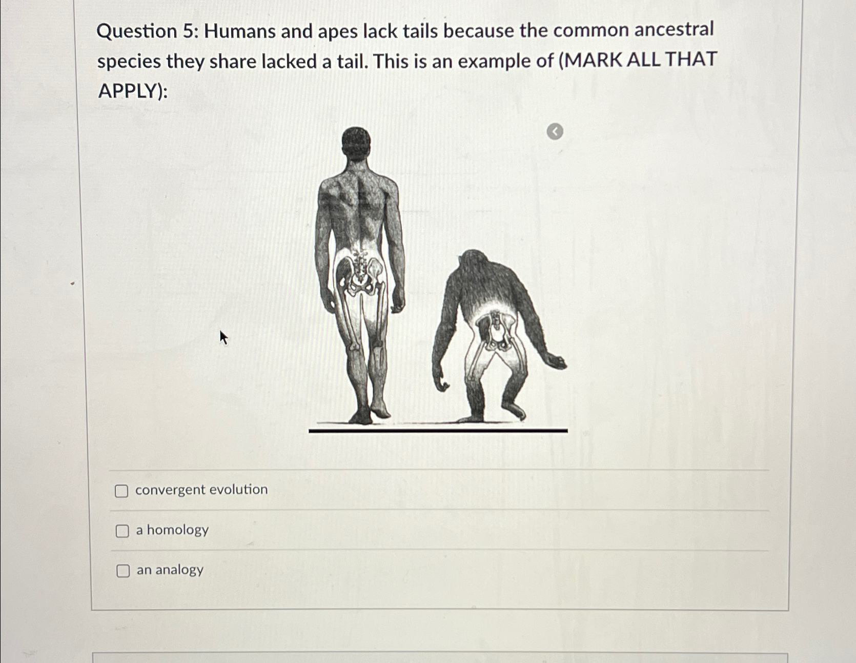 natural experiments lack apes