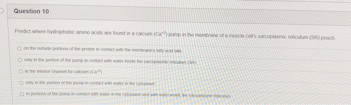 where are hydrophobic amino acids in the calcium pump where are hydrophobic amino acids in the calcium pump