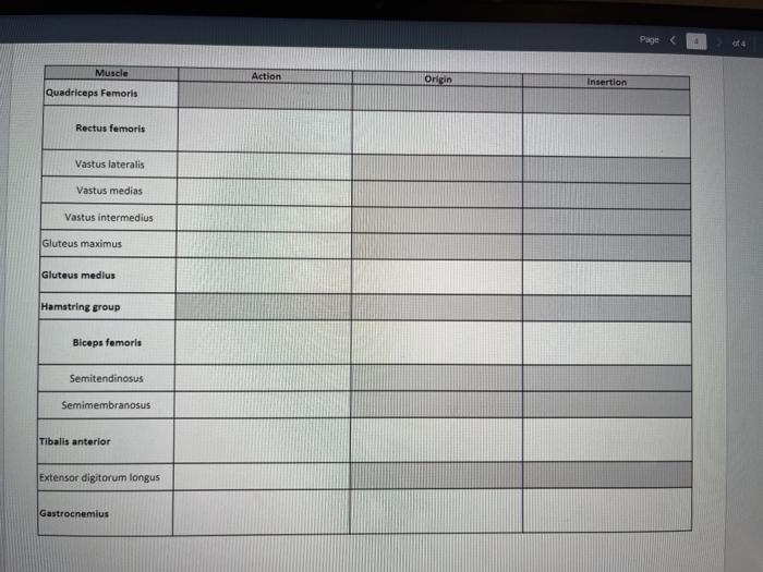 1 Muscle Action Origin Insertion Quadriceps femoris Rectus femoris Vastus lateralis Vastus medias Vastus intermedius Gluteus