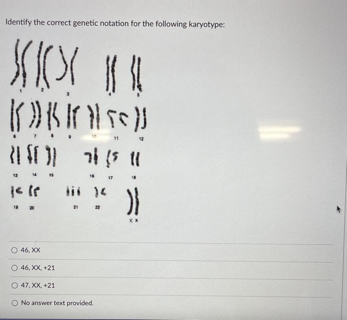 Solved Identify the correct genetic notation for the | Chegg.com