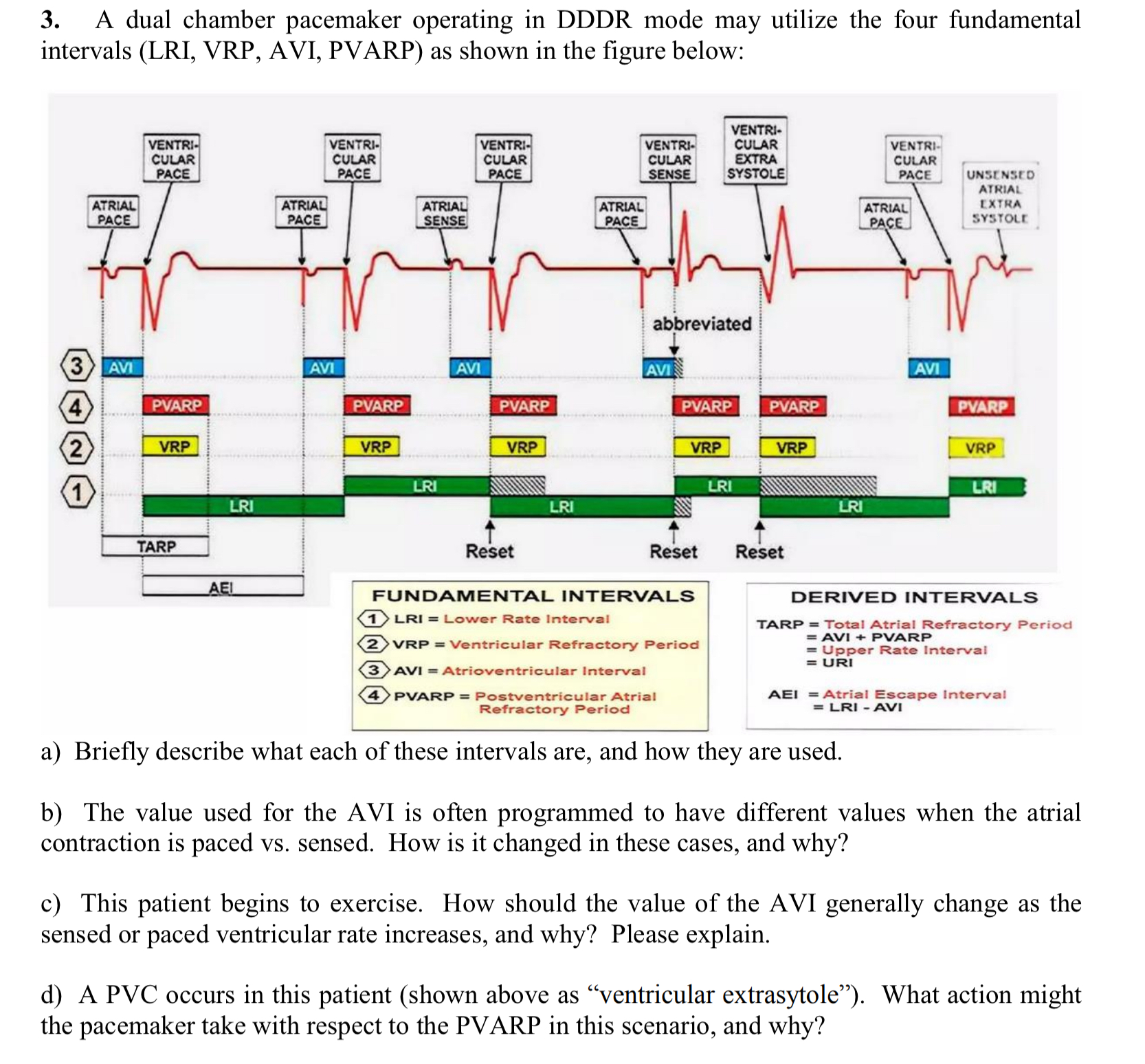 Solved A dual chamber pacemaker operating in DDDR mode may | Chegg.com