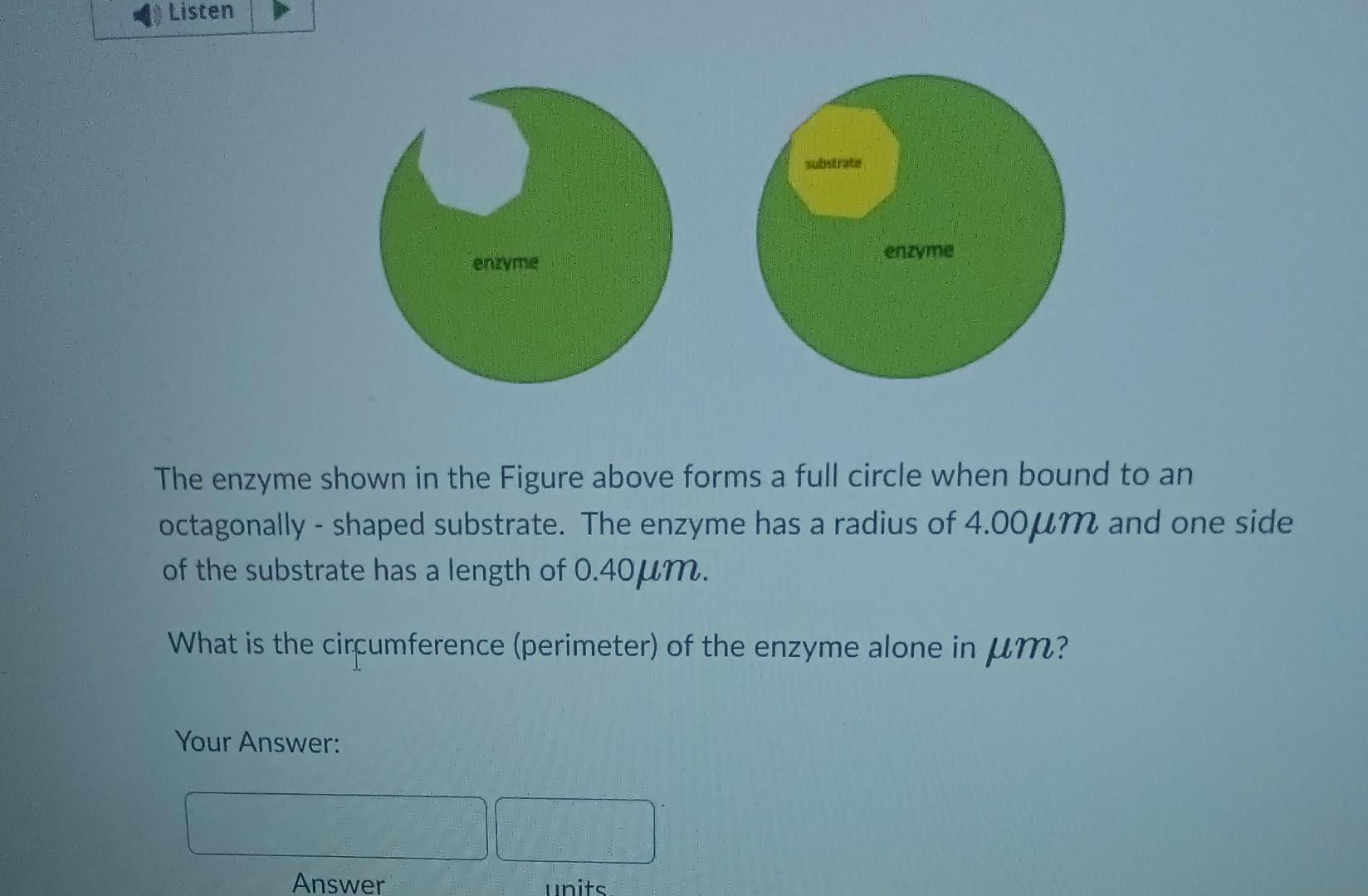 Solved The enzyme shown in the Figure above forms a full | Chegg.com