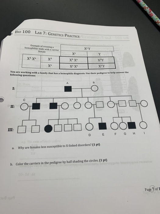 Solved Bio 100 LAB 7: GENETICS PRACTICE Example of crossing | Chegg.com