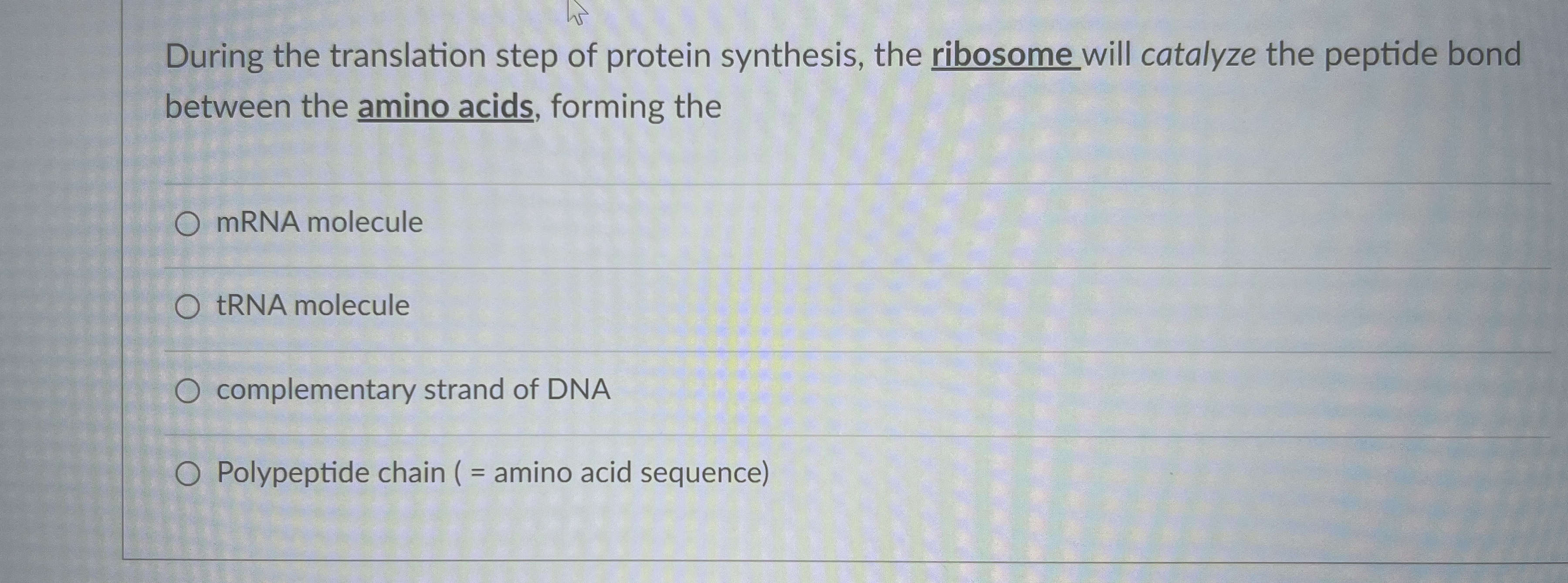 Solved During the translation step of protein synthesis, the | Chegg.com