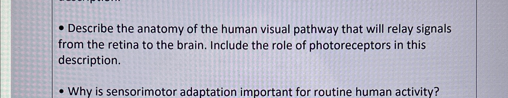 Solved Describe the anatomy of the human visual pathway that | Chegg.com
