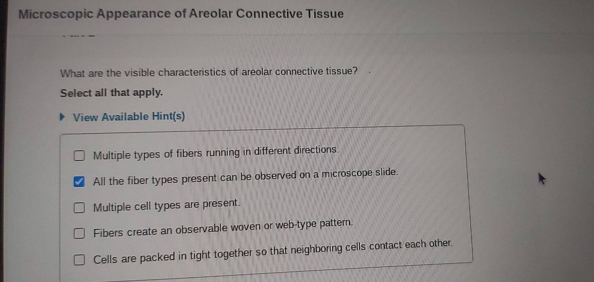 Microscopic Appearance of Areolar Connective Tissue
What are the visible characteristics of areolar connective tissue?
Select