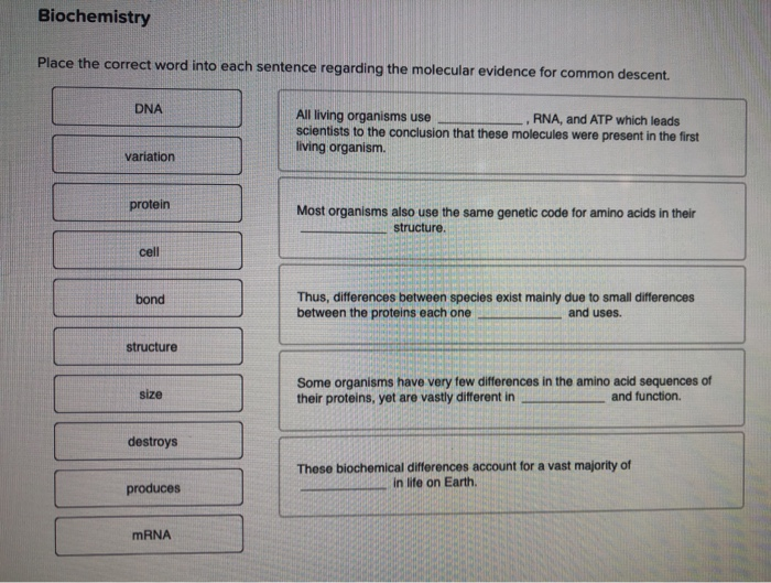 a sentence with the word molecule in biology a sentence with the word molecule in biology