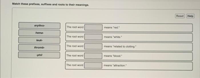 solved-match-these-prefixes-suffixes-and-roots-to-their-chegg