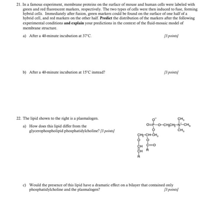 Solved 21. In a famous experiment, membrane proteins on the | Chegg.com