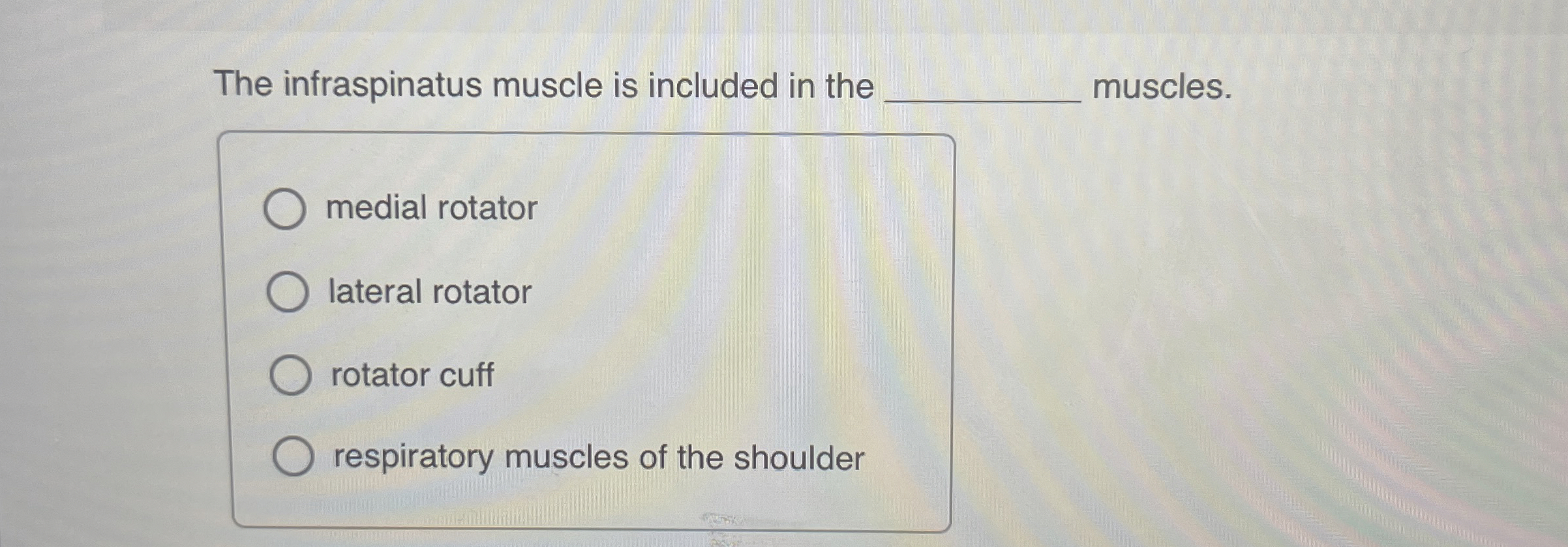 Solved The infraspinatus muscle is included in the q,