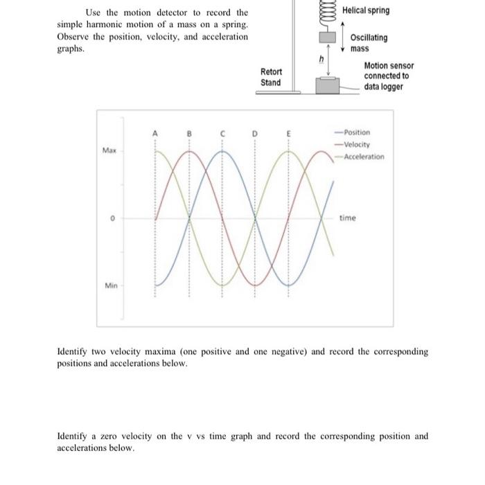 Solved 2001 Helical spring Use the motion detector to record | Chegg.com