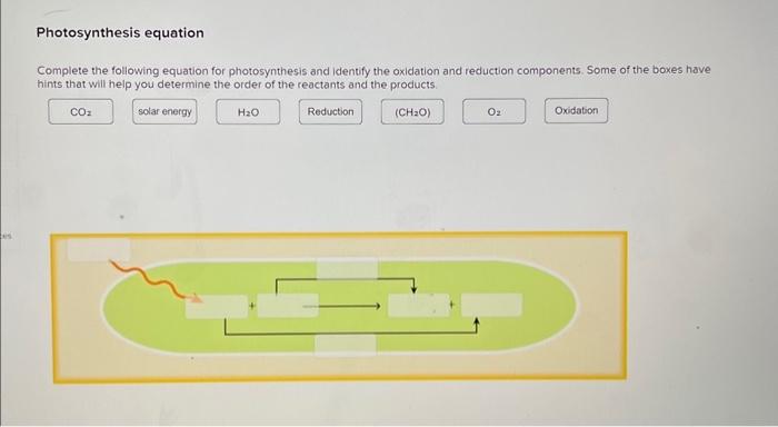 Solved Photosynthesis Equation Complete The Following | Chegg.com