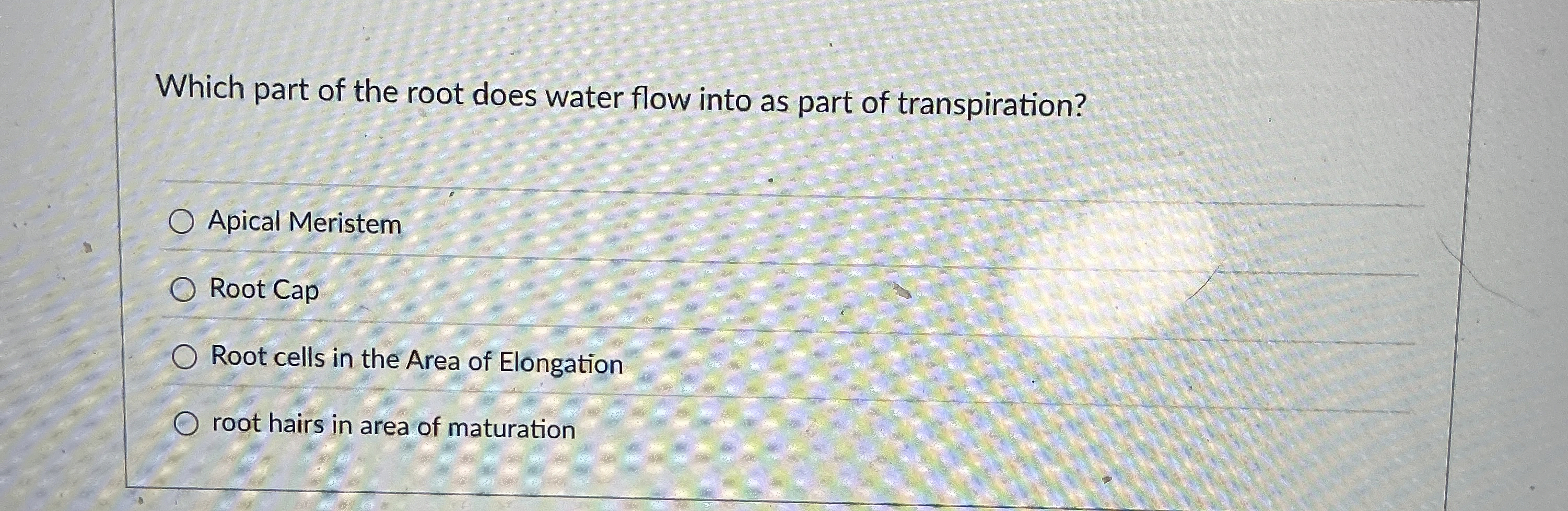 Solved Which part of the root does water flow into as part | Chegg.com