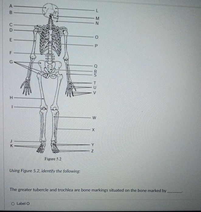 Solved Figure 5.2Using Figure 5.2, ﻿identify the | Chegg.com