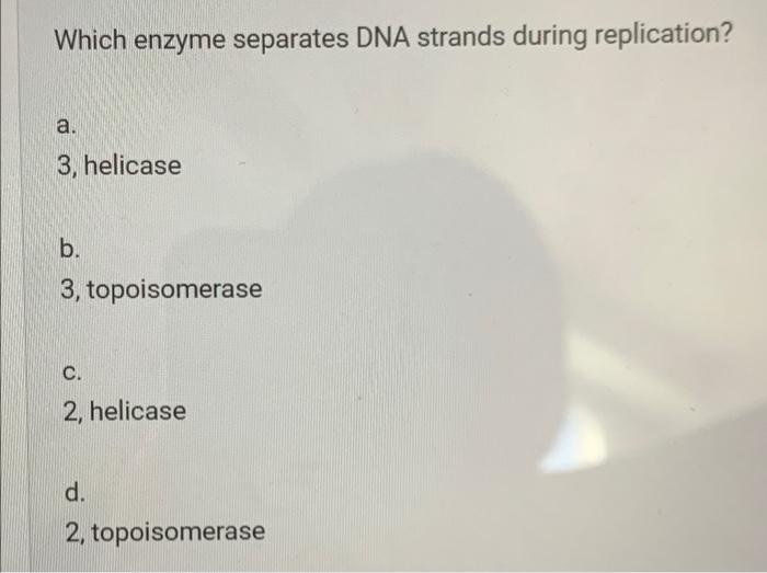 Solved 2. (which enzyme Which enzyme separates DNA strands | Chegg.com