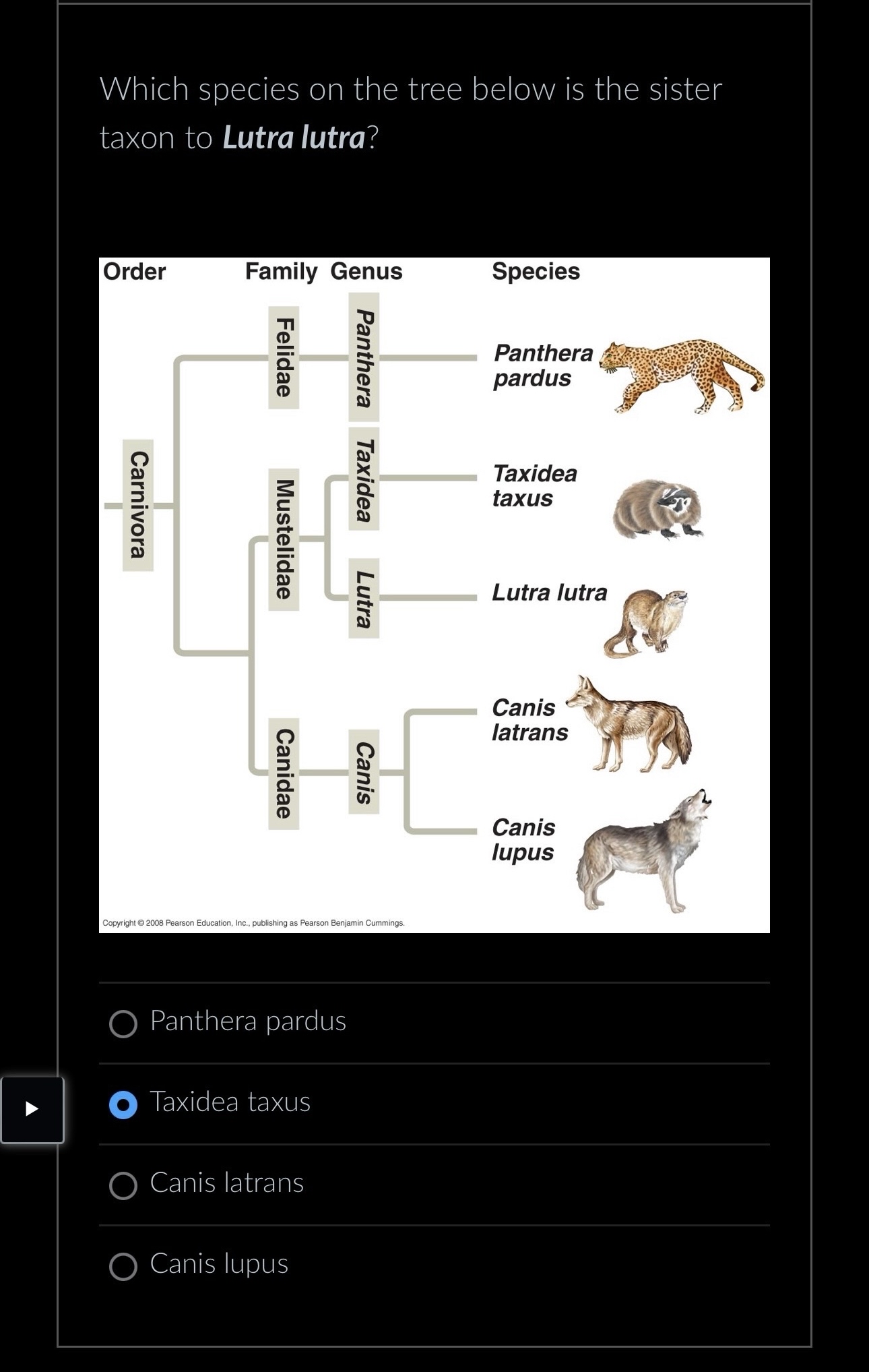 Solved Which species on the tree below is the sister taxon | Chegg.com