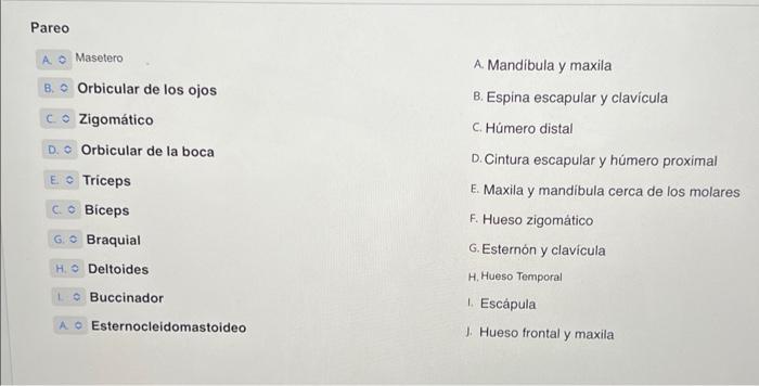 Pareo A Masetero B. Orbicular de los ojos co Zigomático D. Orbicular de la boca EC Triceps C. Biceps G. Braquial H. Deltoides