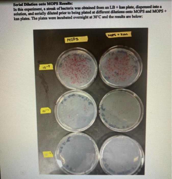 Solved lab report for the serial dilution lab, include