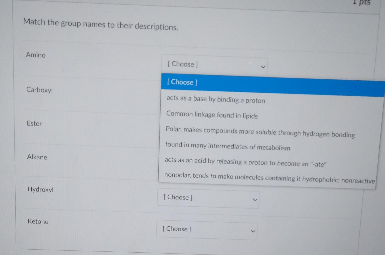 solved-match-the-group-names-to-their-descriptions-amino-chegg