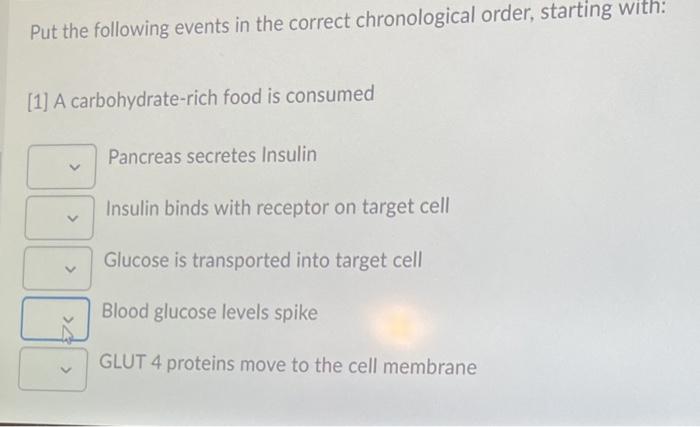 Solved Put the following events in the correct chronological | Chegg.com
