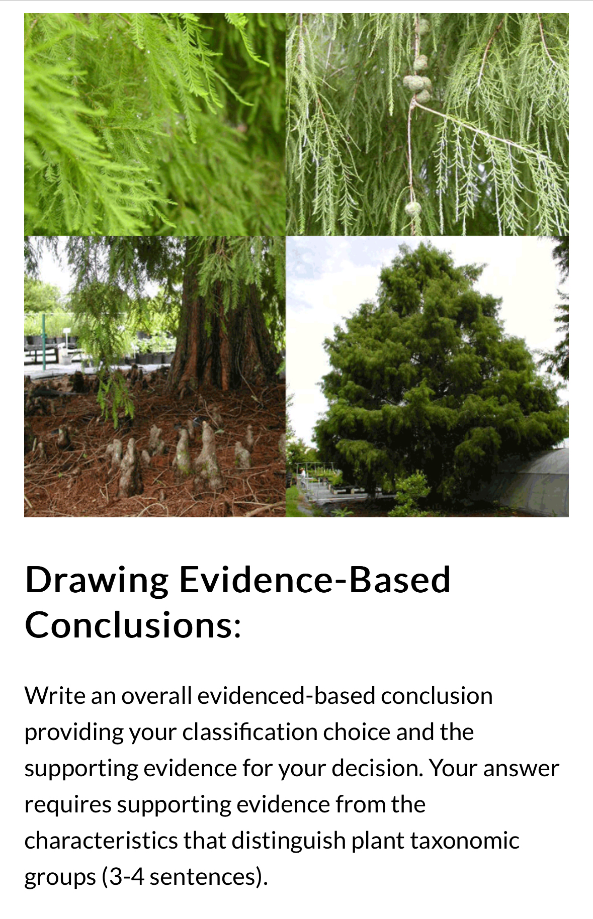 Solved Drawing Evidence-Based Conclusions:Write an overall | Chegg.com