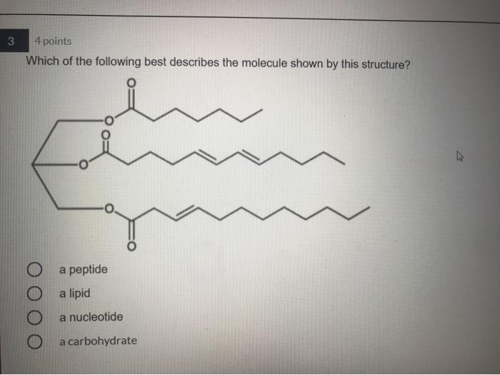 Solved 3 4 points Which of the following best describes the | Chegg.com