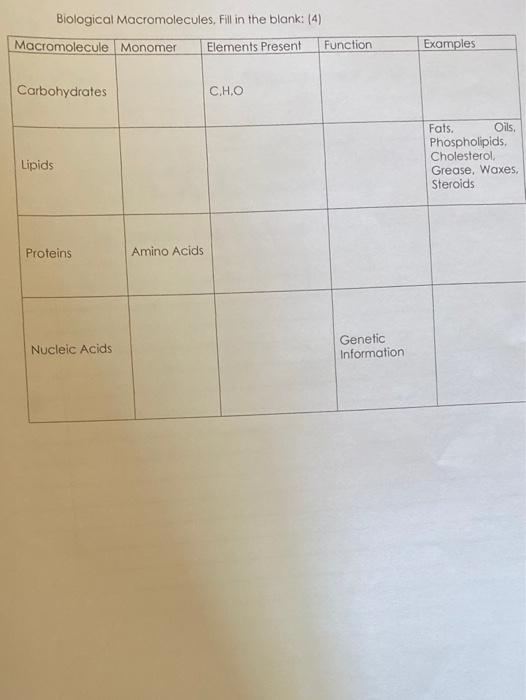 solved-biological-macromolecules-fill-in-the-blank-4-chegg