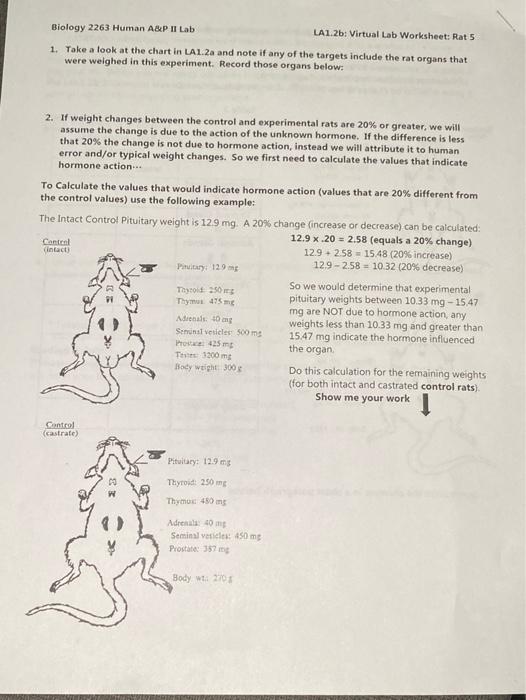 Solved Blology 2263 Human A&P II Lab LA1.2a: Virtual Rat Lab | Chegg.com