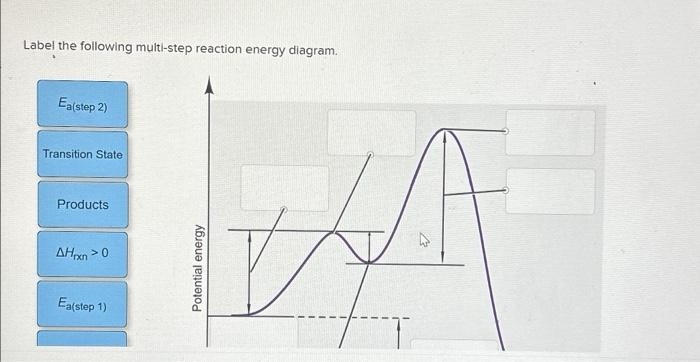 Solved Label The Following Multi-step Reaction Energy | Chegg.com