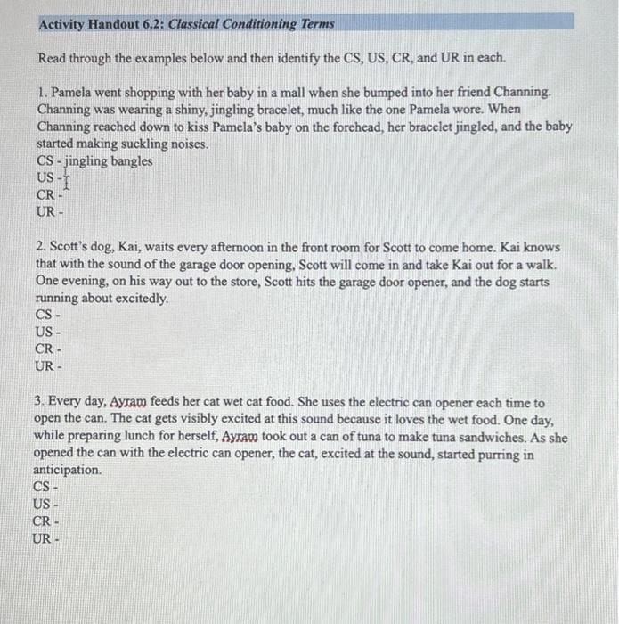 Solved Activity Handout 6.2: Classical Conditioning Terms 