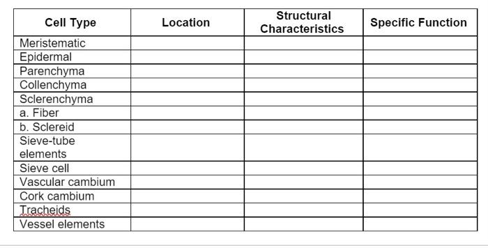Solved Location Structural Characteristics Specific Function | Chegg.com
