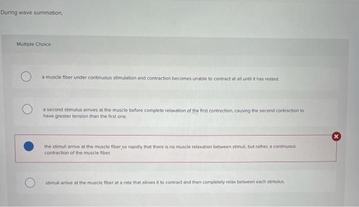 Solved During wave summation, Multiple Choice a muscle fiber | Chegg.com