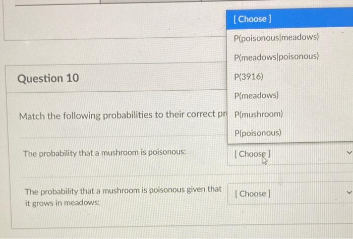 What Questions To Ask On Match : The 10 Most Important Questions for
