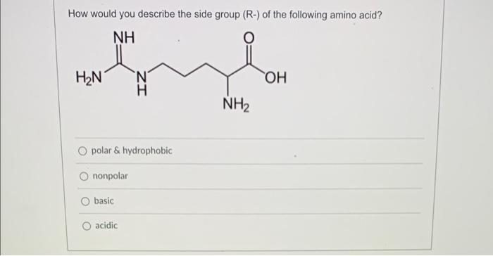 How would you describe the side group (R-) of the following amino acid?
polar \& hydrophobic
nonpolar
basic
acidic