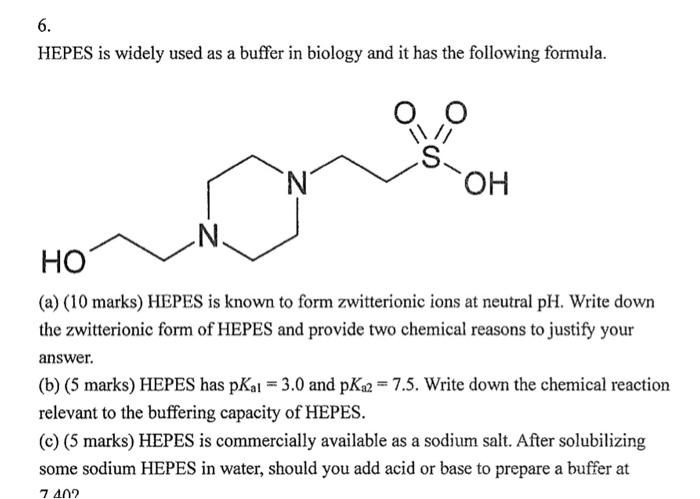 HEPES Buffer Solution (1 M) B35110: R&D Systems