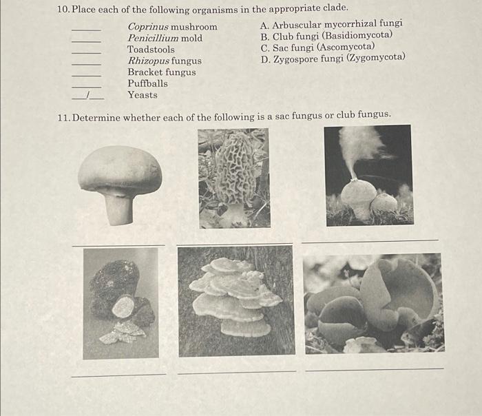 Solved 10. Place each of the following organisms in the 