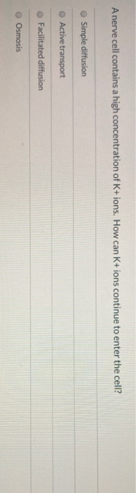 Solved A nerve cell contains a high concentration of K+ | Chegg.com